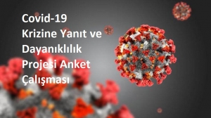 Covid-19 Krizine Yanıt ve Dayanıklılık Projesi Anket Çalışması