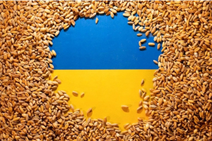 Ukrayna İle Tahıl Ticareti Gerçekleştirmek İsteyen Firmaların Dikkatine