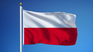 Polonya 3. Ülke Geçiş Belgelerinde Son Durum
