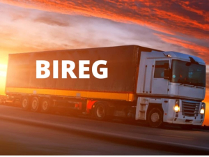 BiReg Sistemi Türkçe Olarak Hizmet Vermeye Başlamıştır