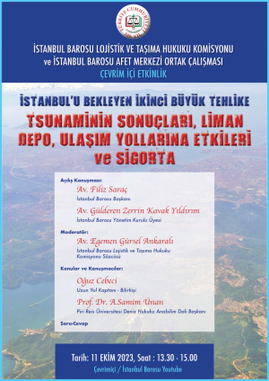 Tsunaminin Sonuçları, Liman Depo, Ulaşım Yollarına Etkileri ve Sigorta Semineri