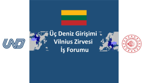 Üç Deniz Girişimi Vilnius Zirvesi  İş Forumu Hakkında
