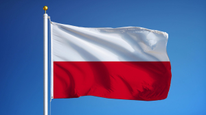 Polonya: RMPD Bildirimleri Hususunda Bilgilendirme