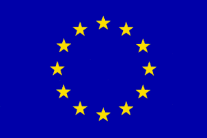 AB: İşverenlerin Sürücülere Talimat ve Eğitim Verme Zorunluluğu Hakkında