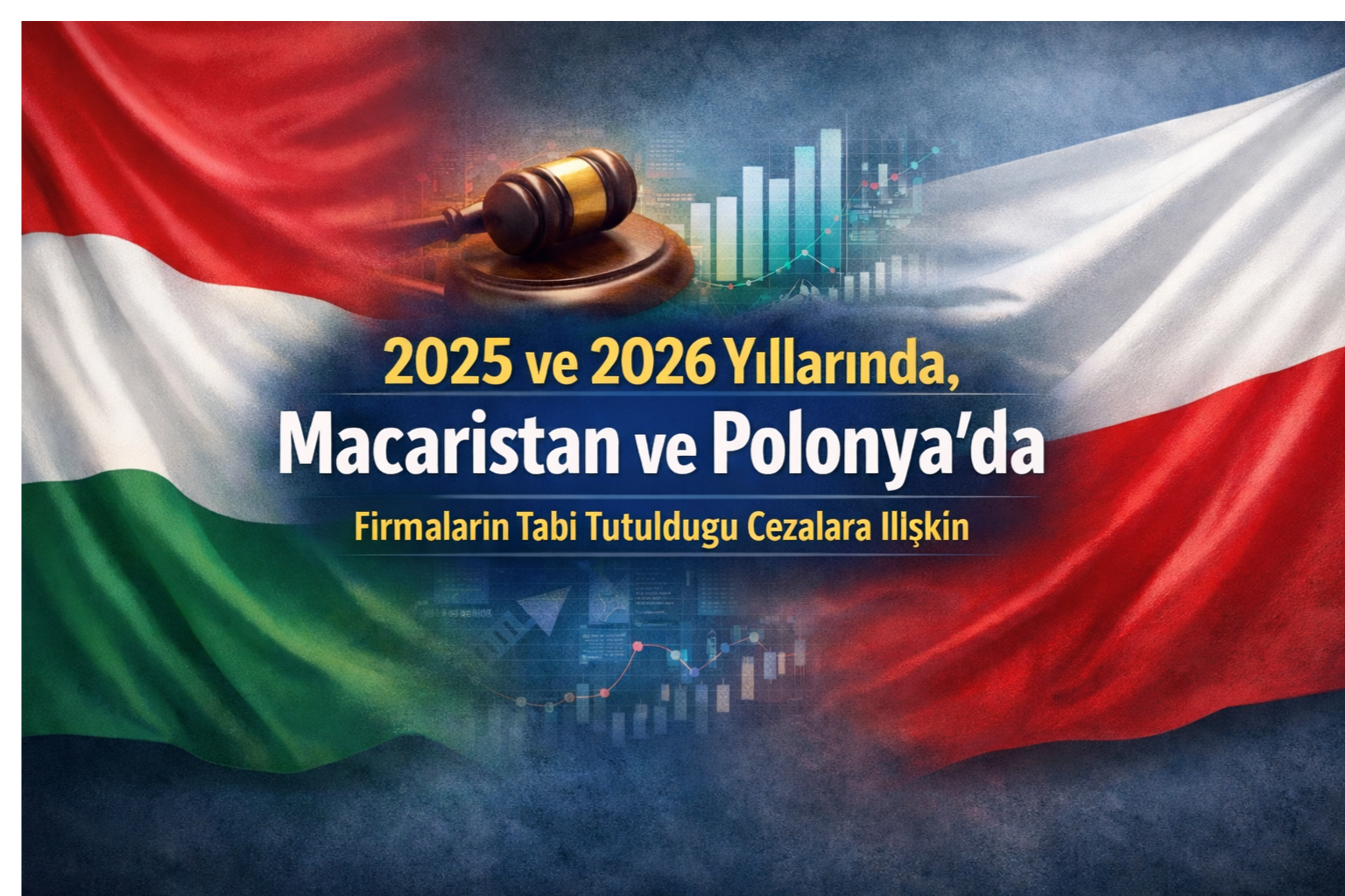2025 ve 2026 Yıllarında, Macaristan ve Polonya'da Firmaların Tabi Tutulduğu Cezalara İlişkin Anket